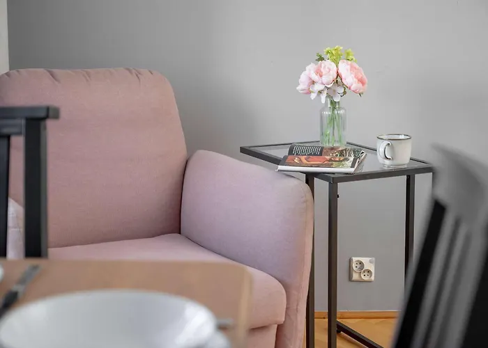 Modern In With Air Conditioning By Renters Apartament